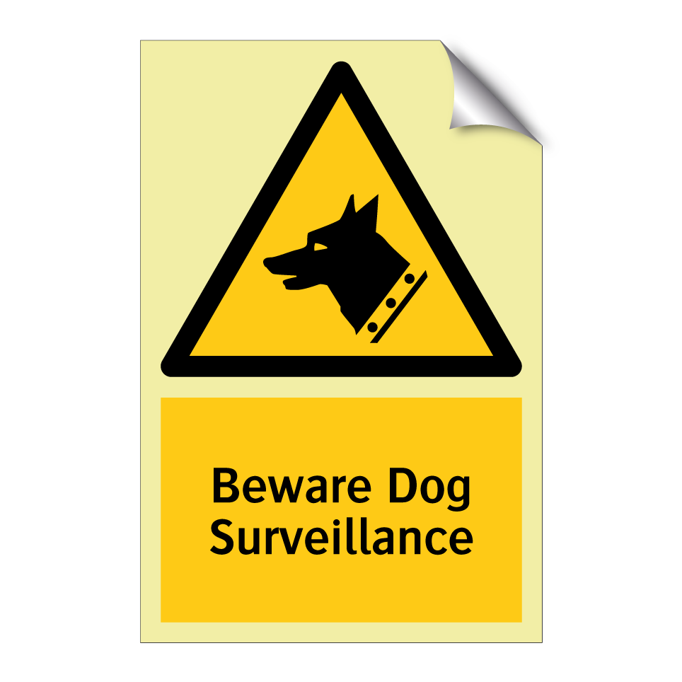 Beware Dog Surveillance
