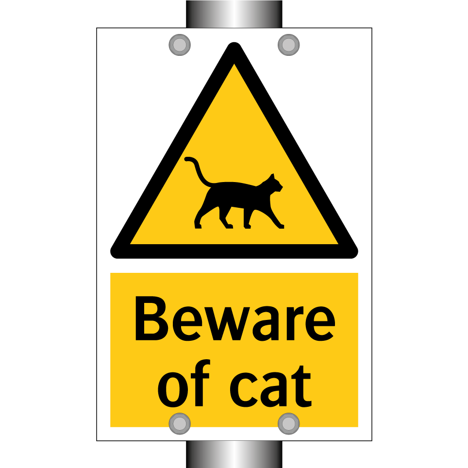 Beware of cat