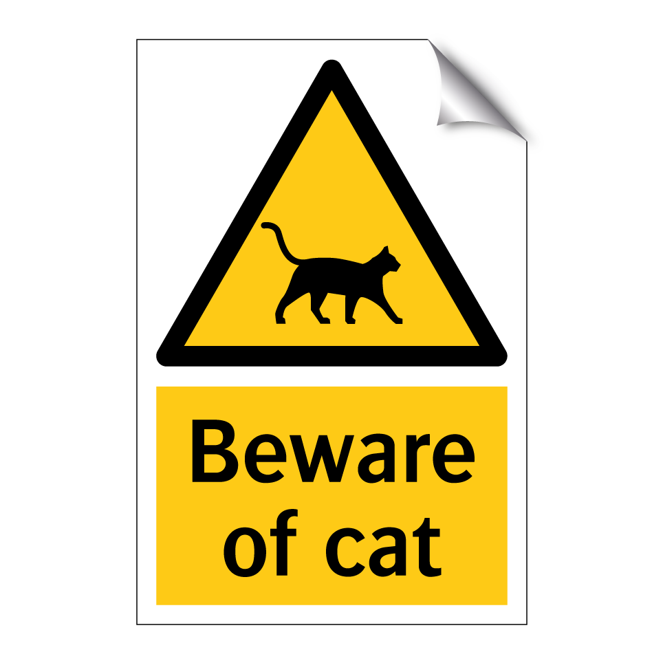 Beware of cat