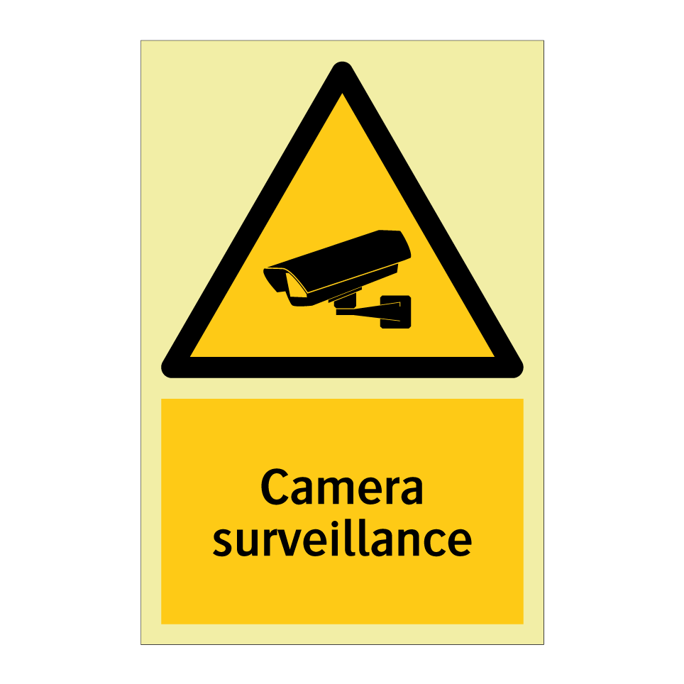 Camera surveillance