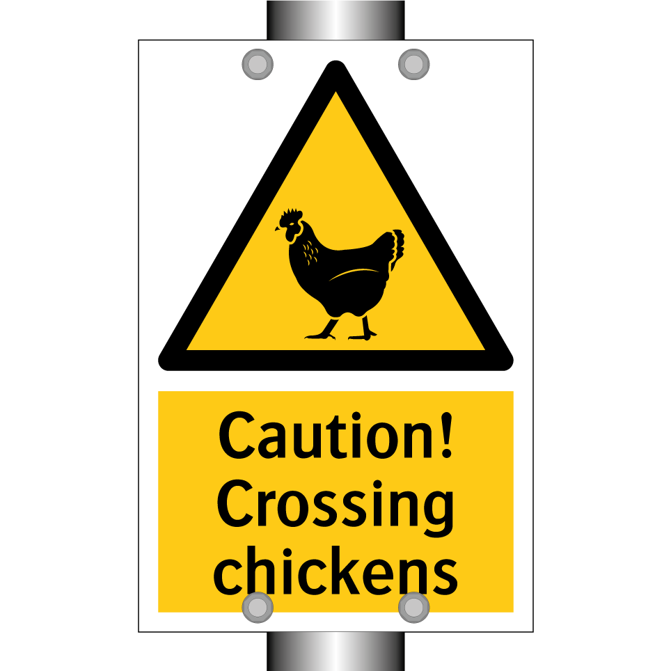 Caution! Crossing chickens