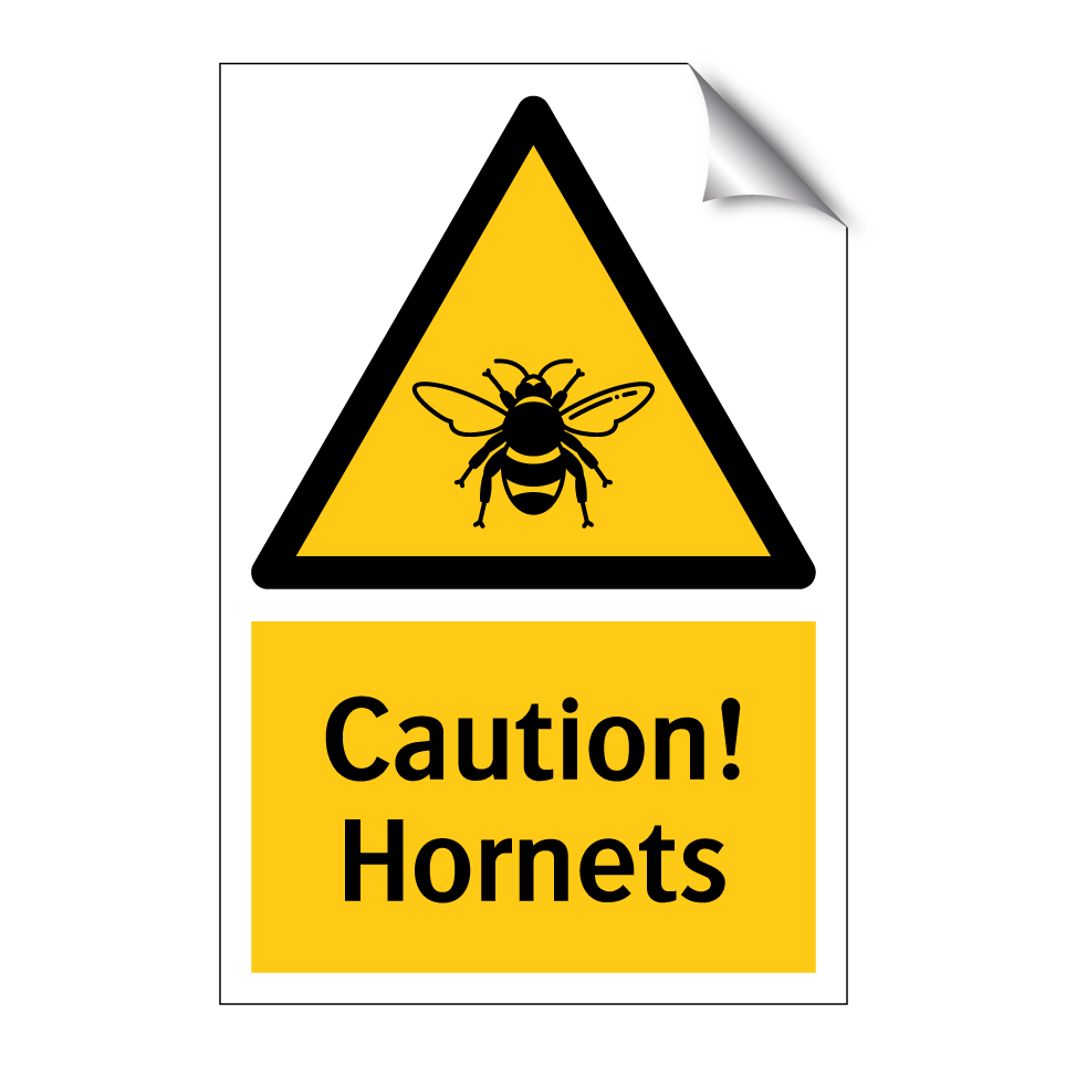 Caution! Hornets
