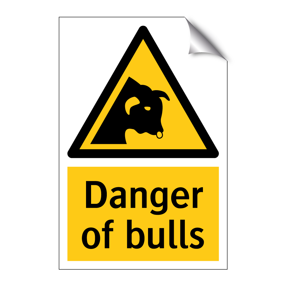 Danger of bulls
