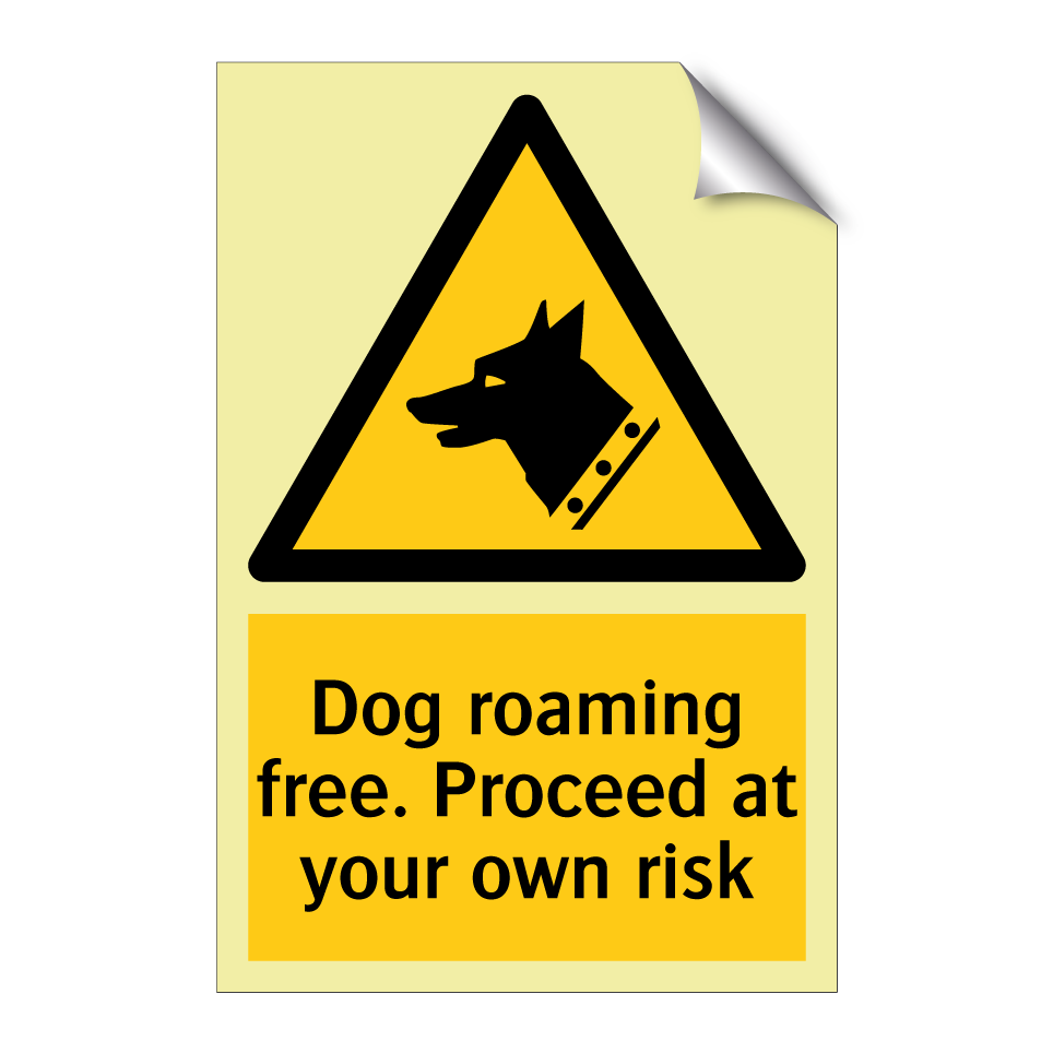 Dog roaming free. Proceed at your own risk