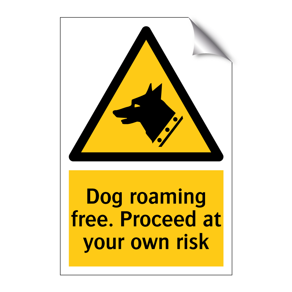 Dog roaming free. Proceed at your own risk