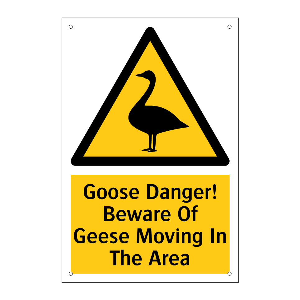 Goose Danger! Beware Of Geese Moving In The Area