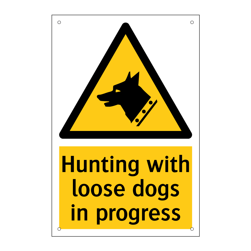 Hunting with loose dogs in progress