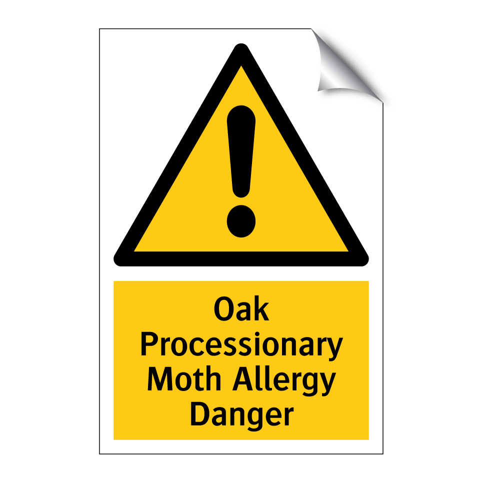 Oak Processionary Moth Allergy Danger