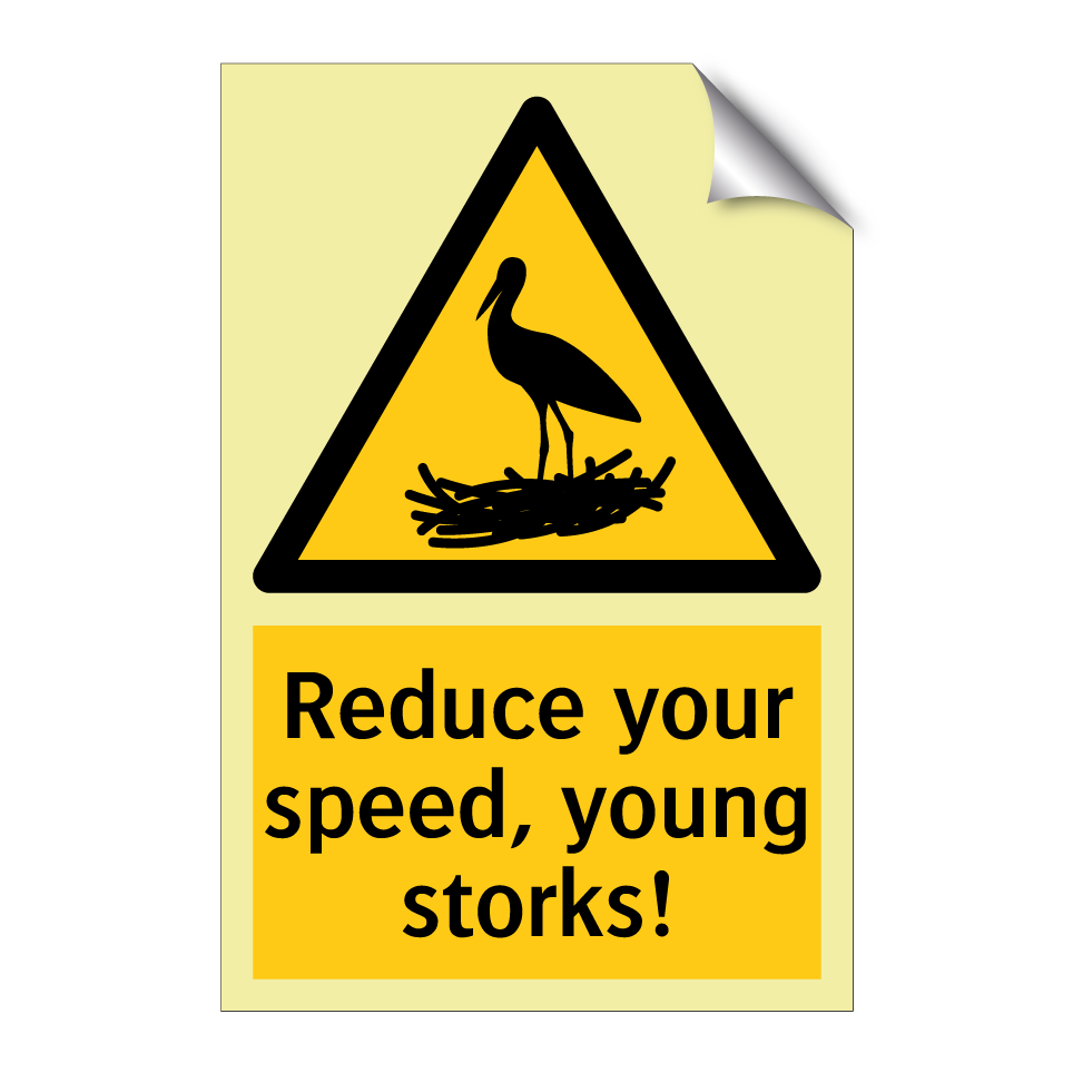 Reduce your speed, young storks!