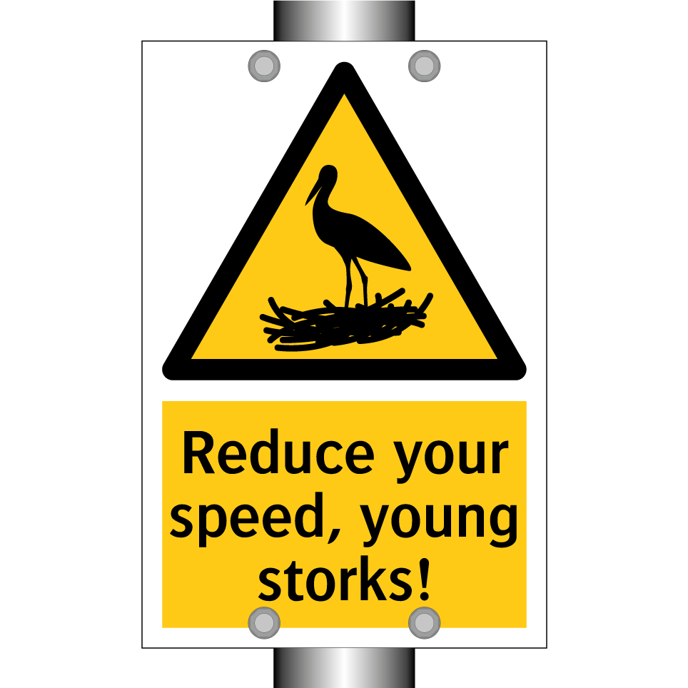 Reduce your speed, young storks!