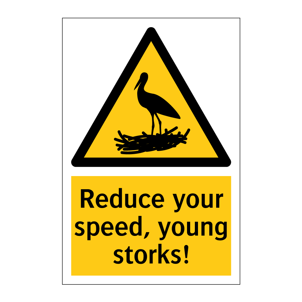 Reduce your speed, young storks!
