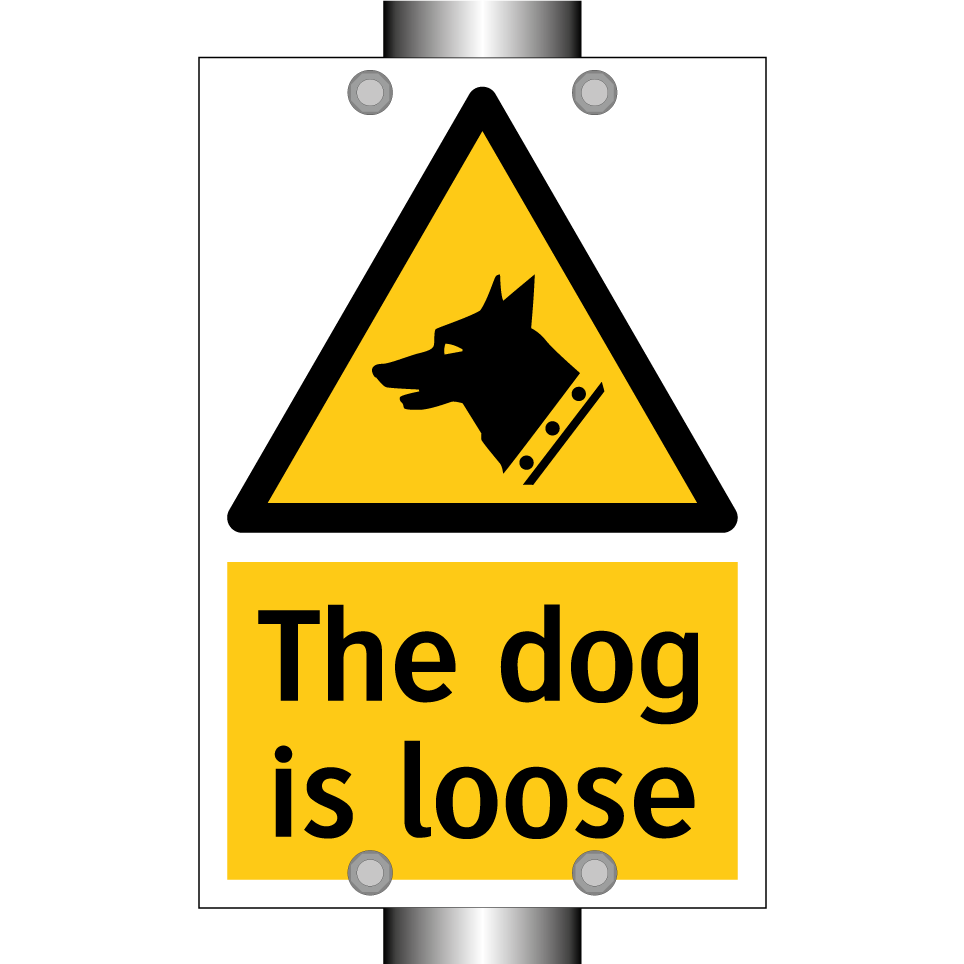 The dog is loose