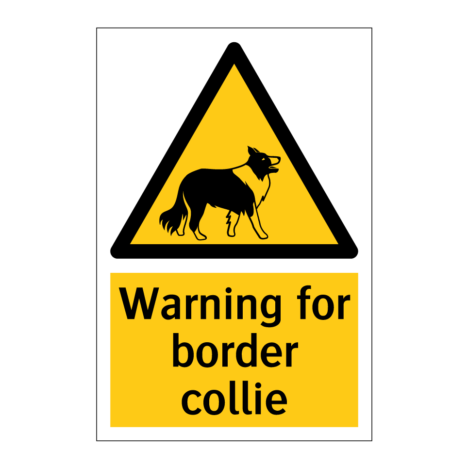 Warning for border collie
