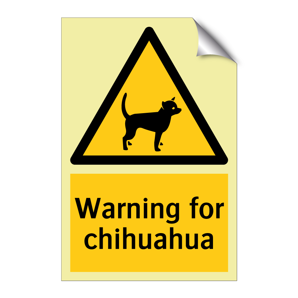 Warning for chihuahua