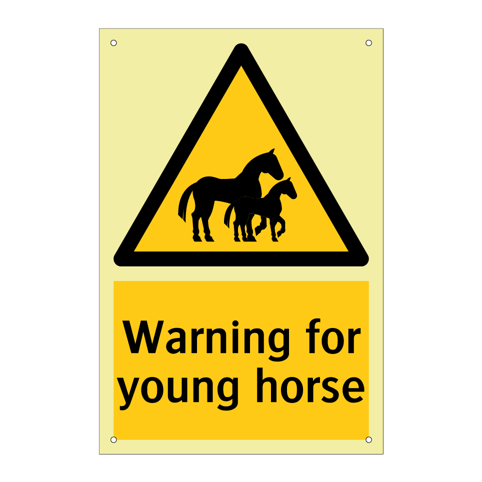 Warning for young horse