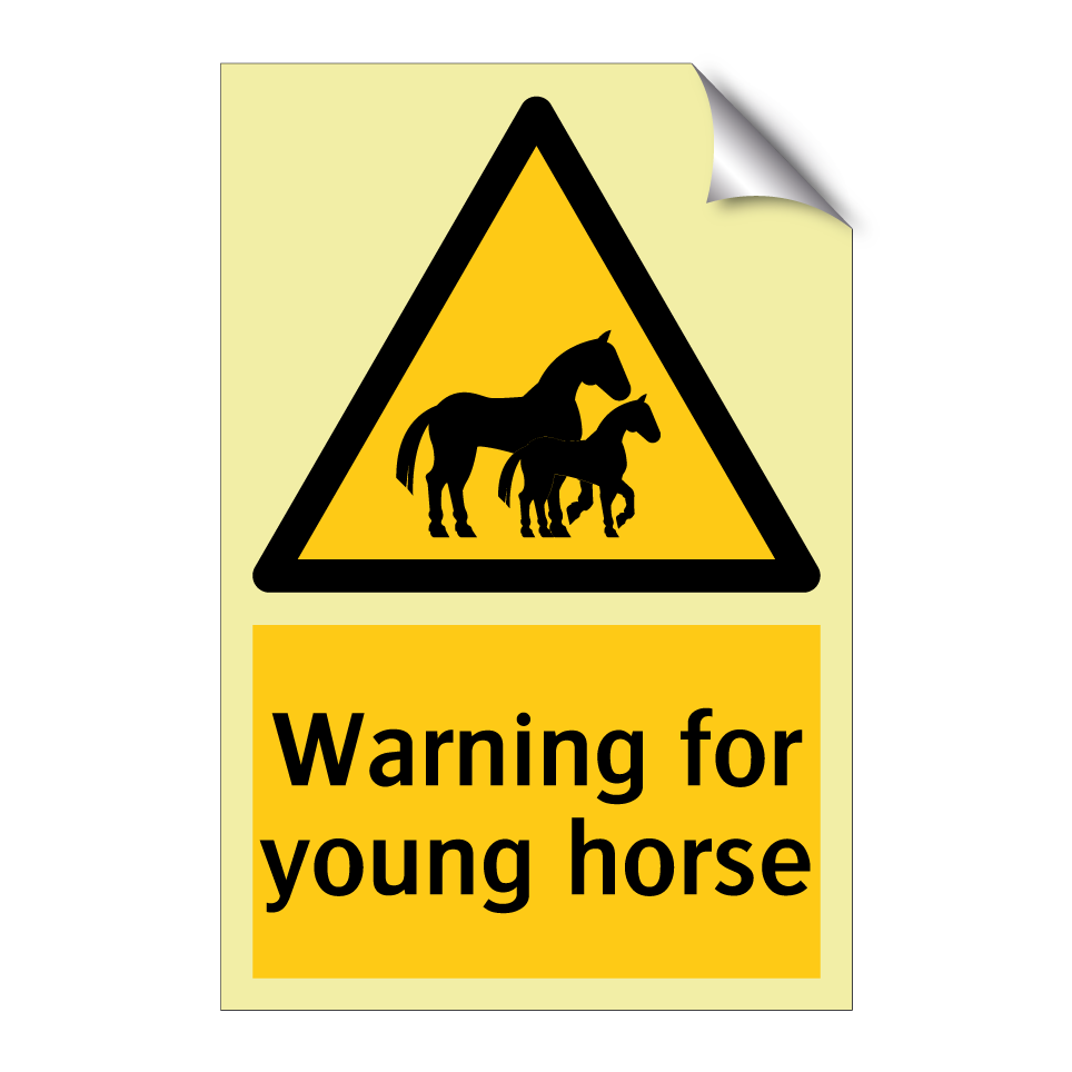 Warning for young horse
