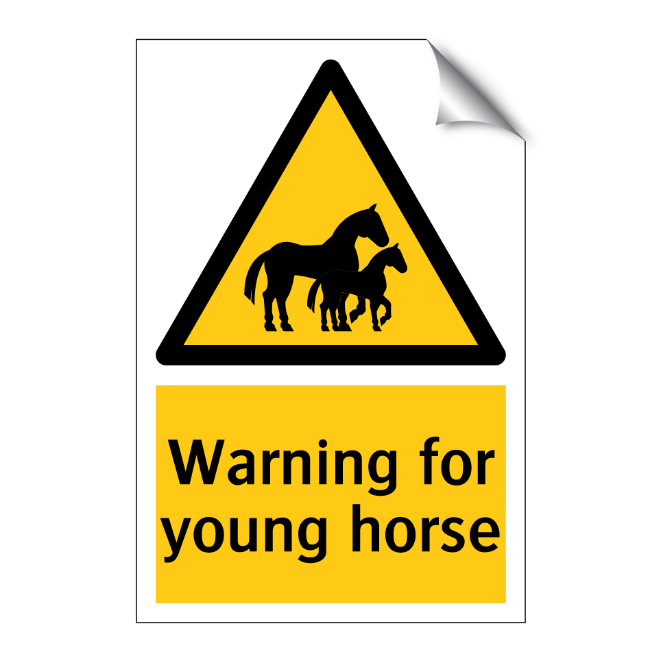 Warning for young horse