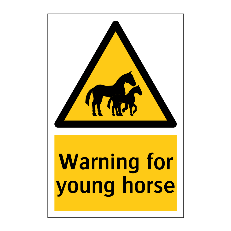 Warning for young horse