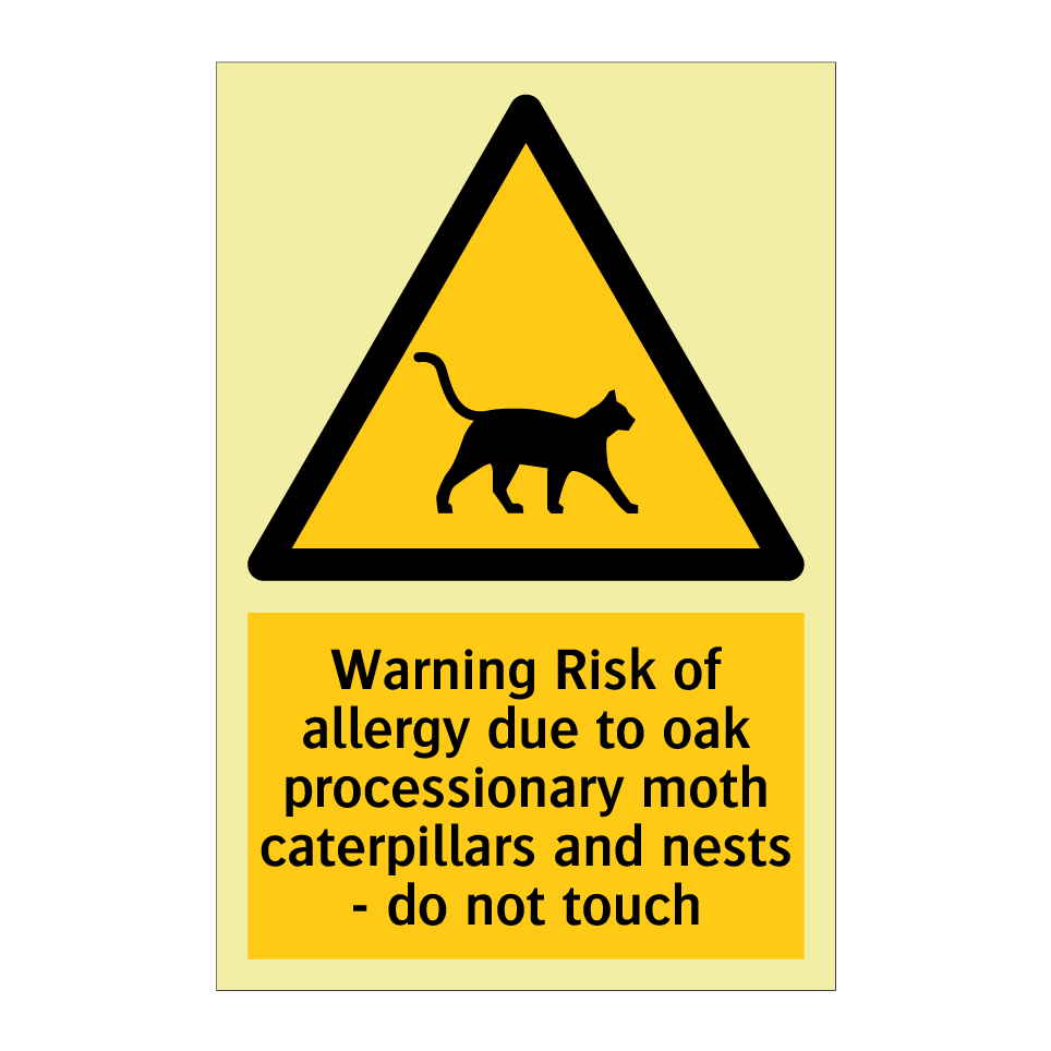 Warning Risk of allergy due to oak processionary moth caterpillars and nests - do not touch