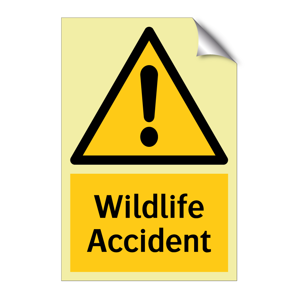 Wildlife Accident