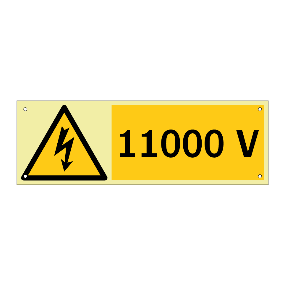 11000 V
