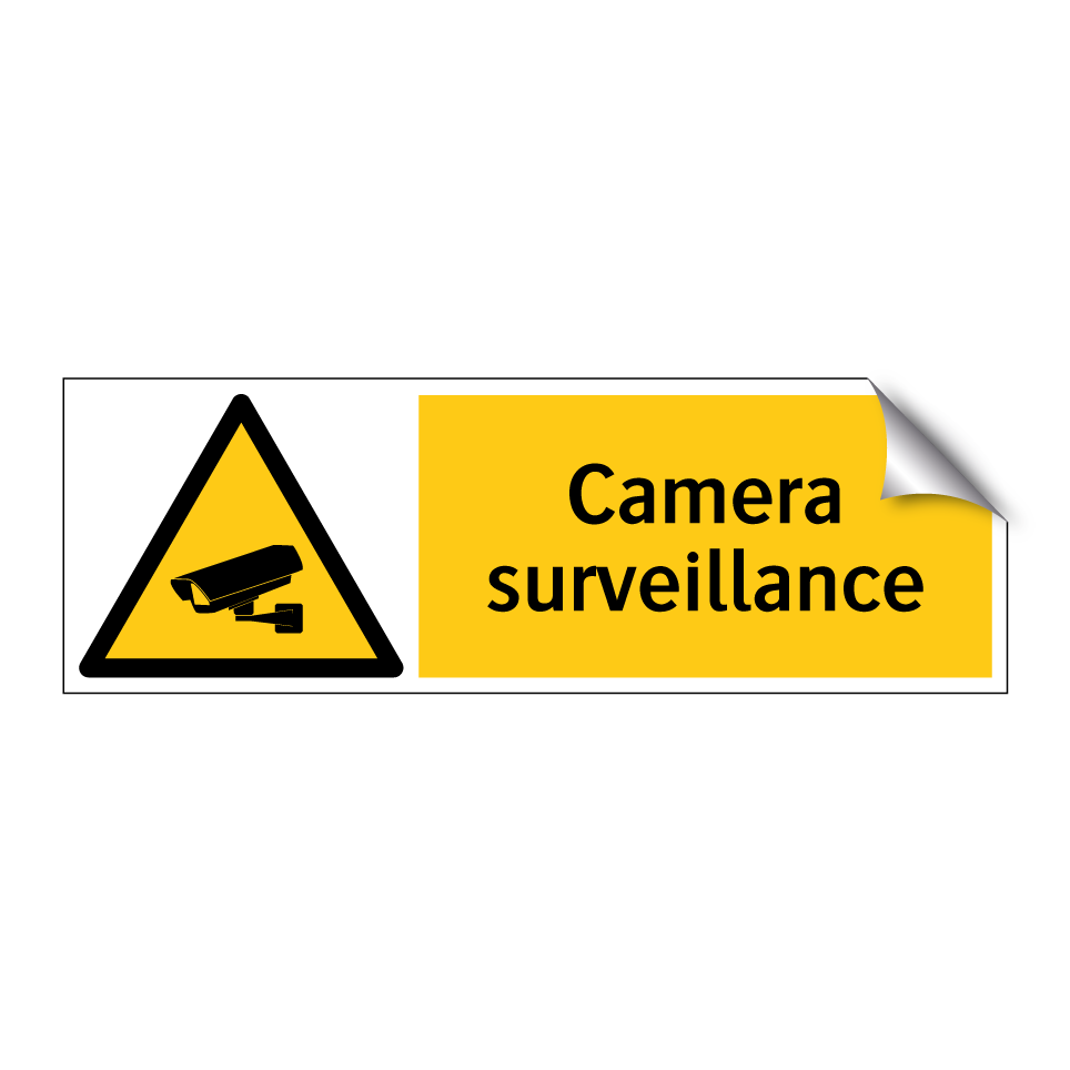 Camera surveillance