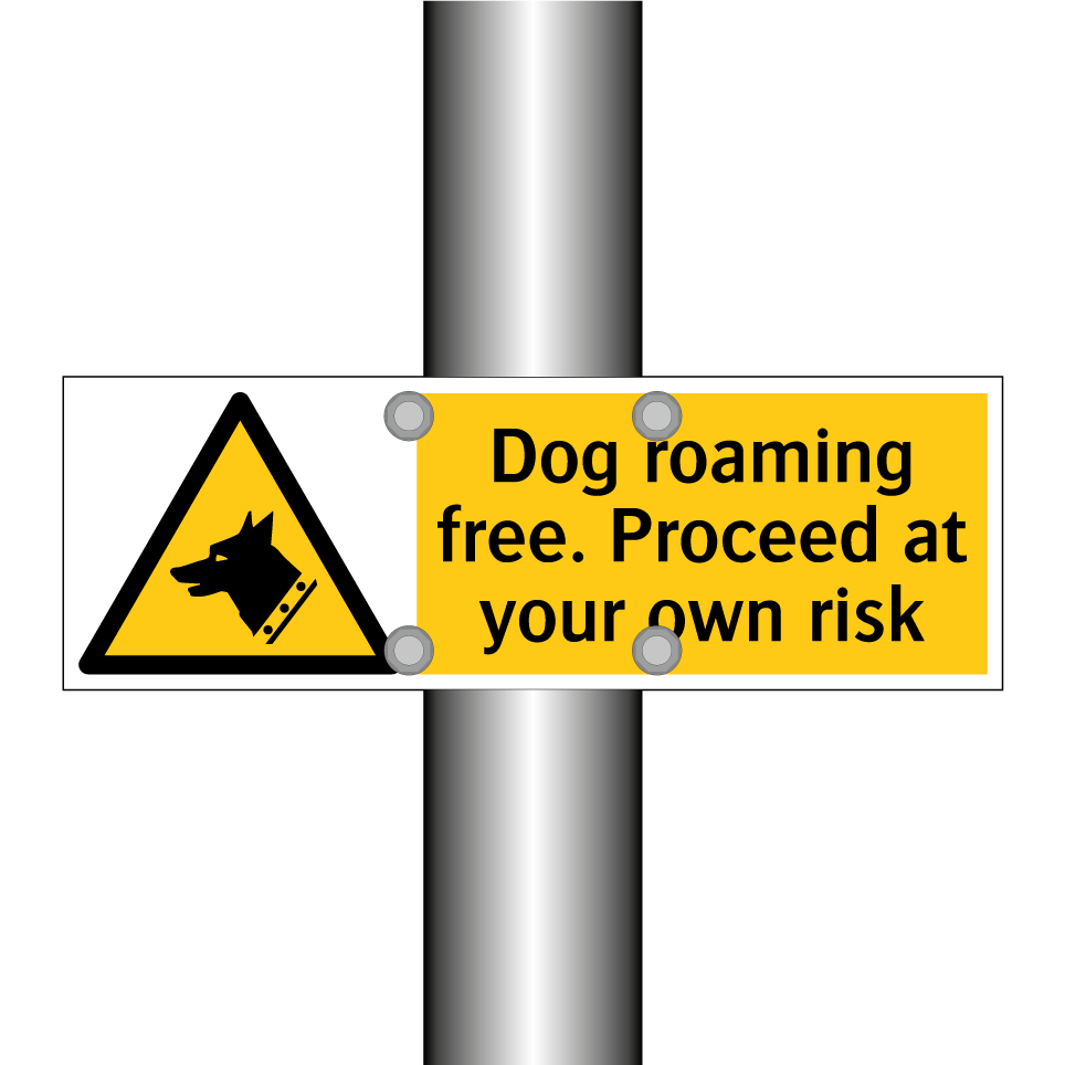 Dog roaming free. Proceed at your own risk