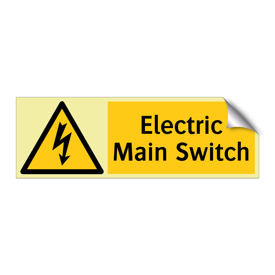 Electric Main Switch