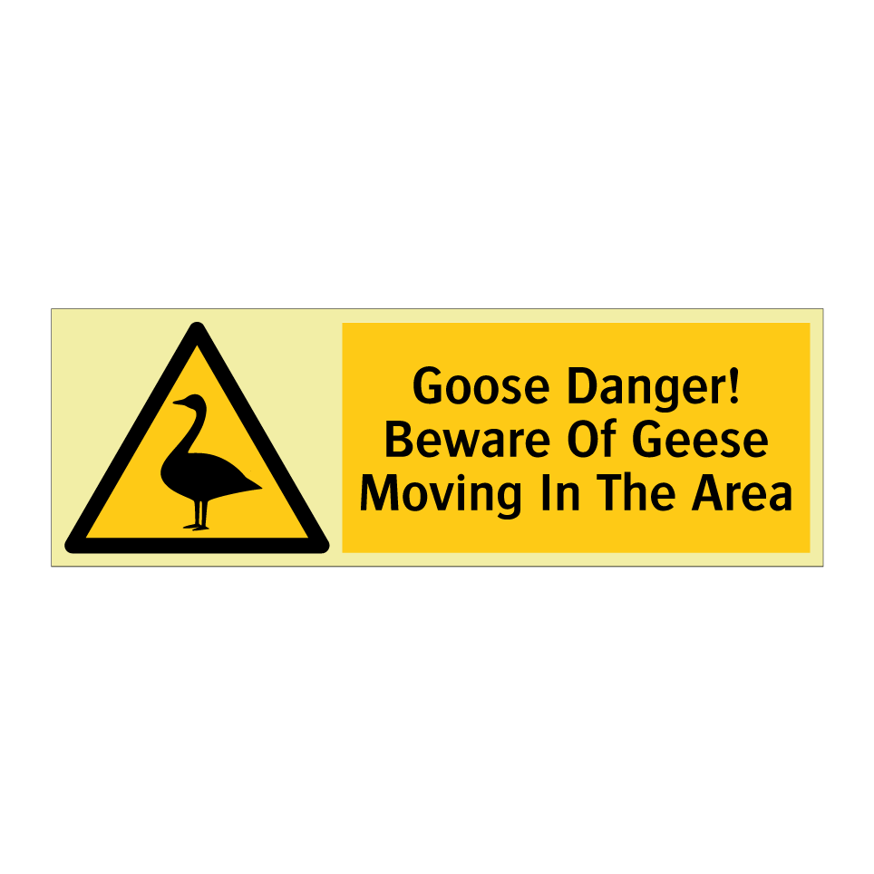Goose Danger! Beware Of Geese Moving In The Area