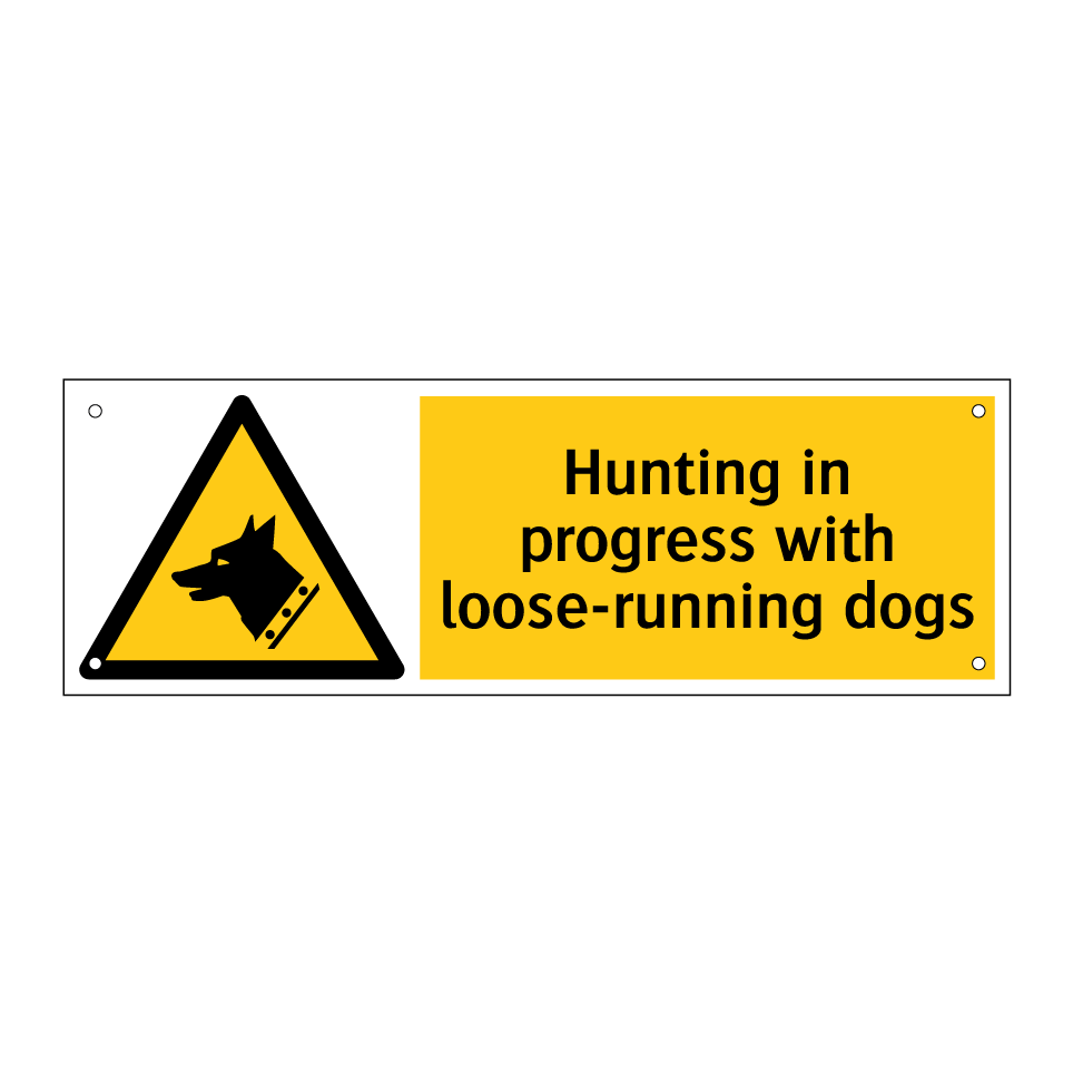 Hunting in progress with loose-running dogs