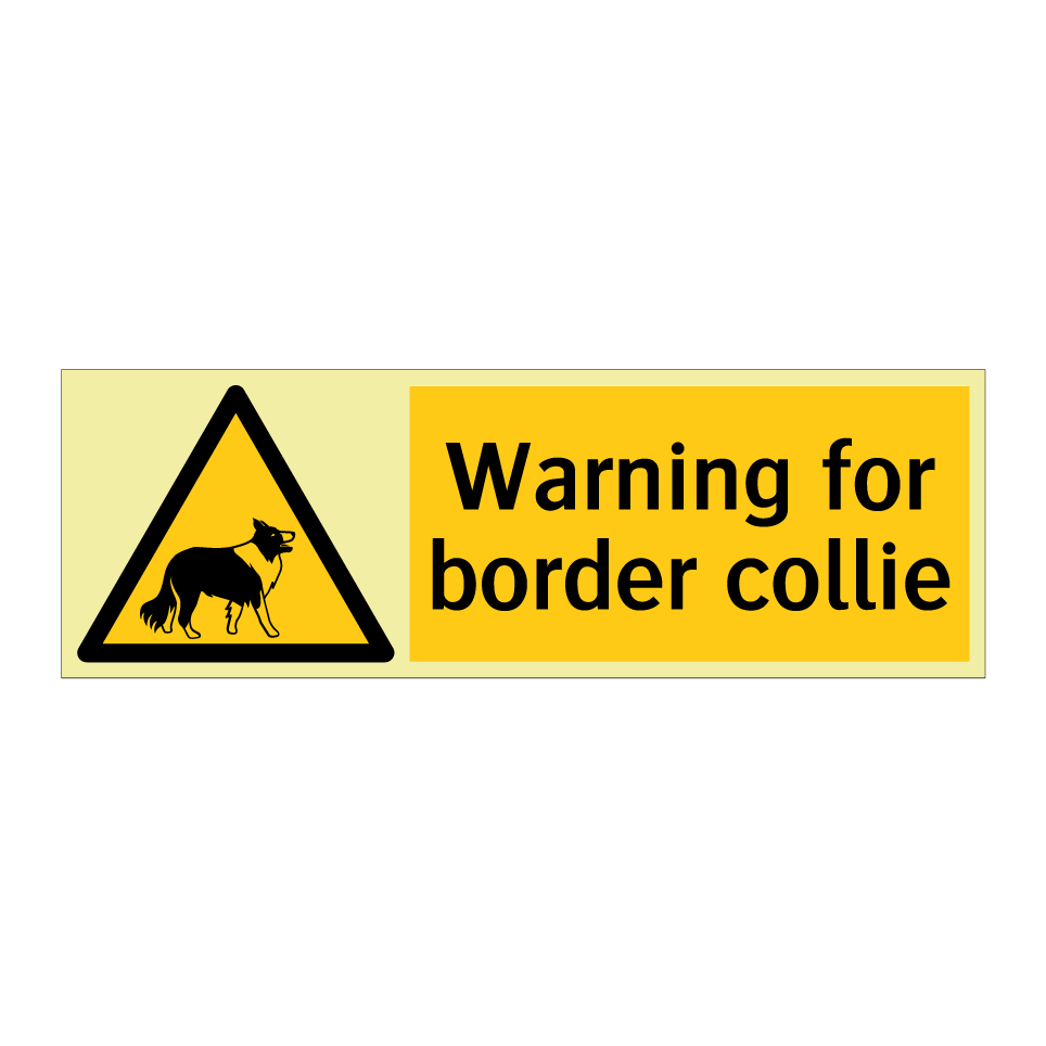 Warning for border collie