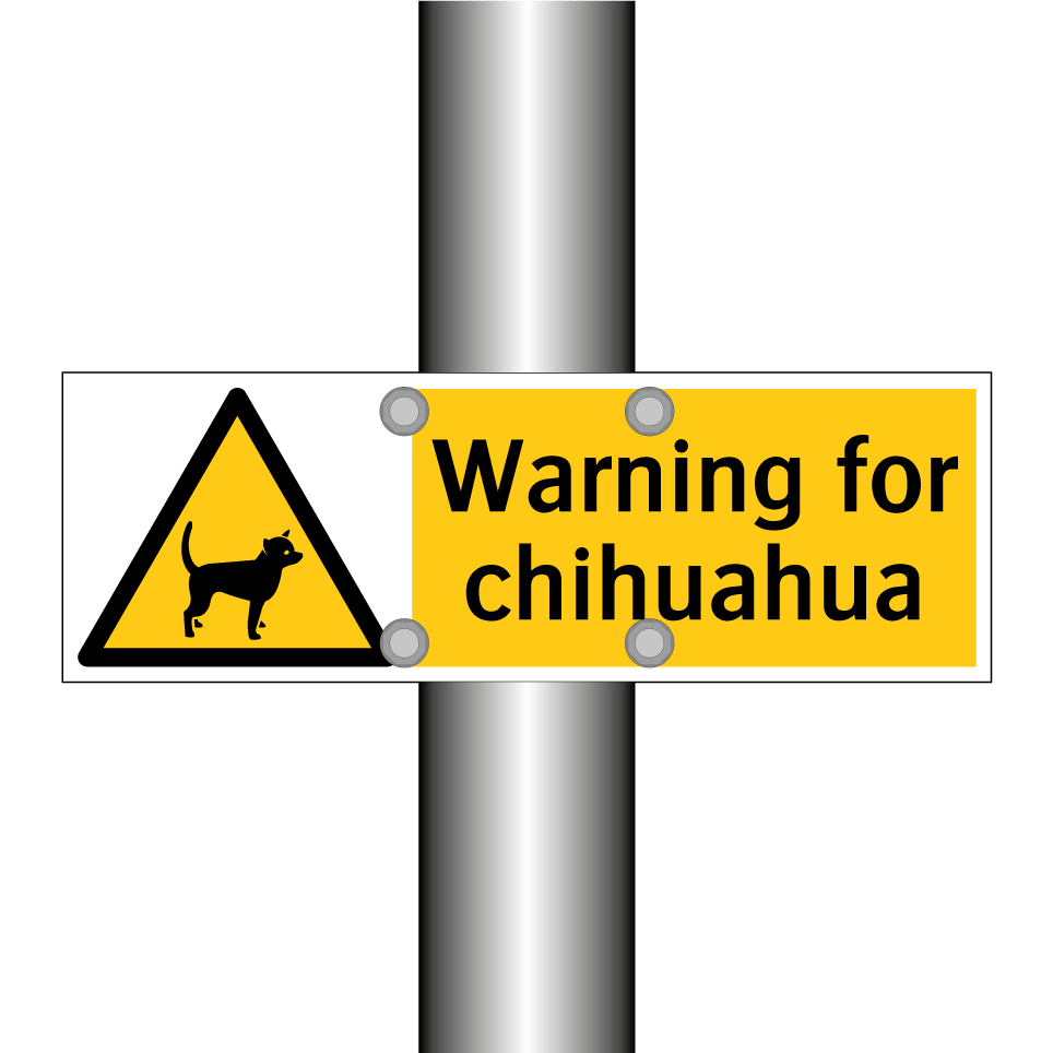 Warning for chihuahua