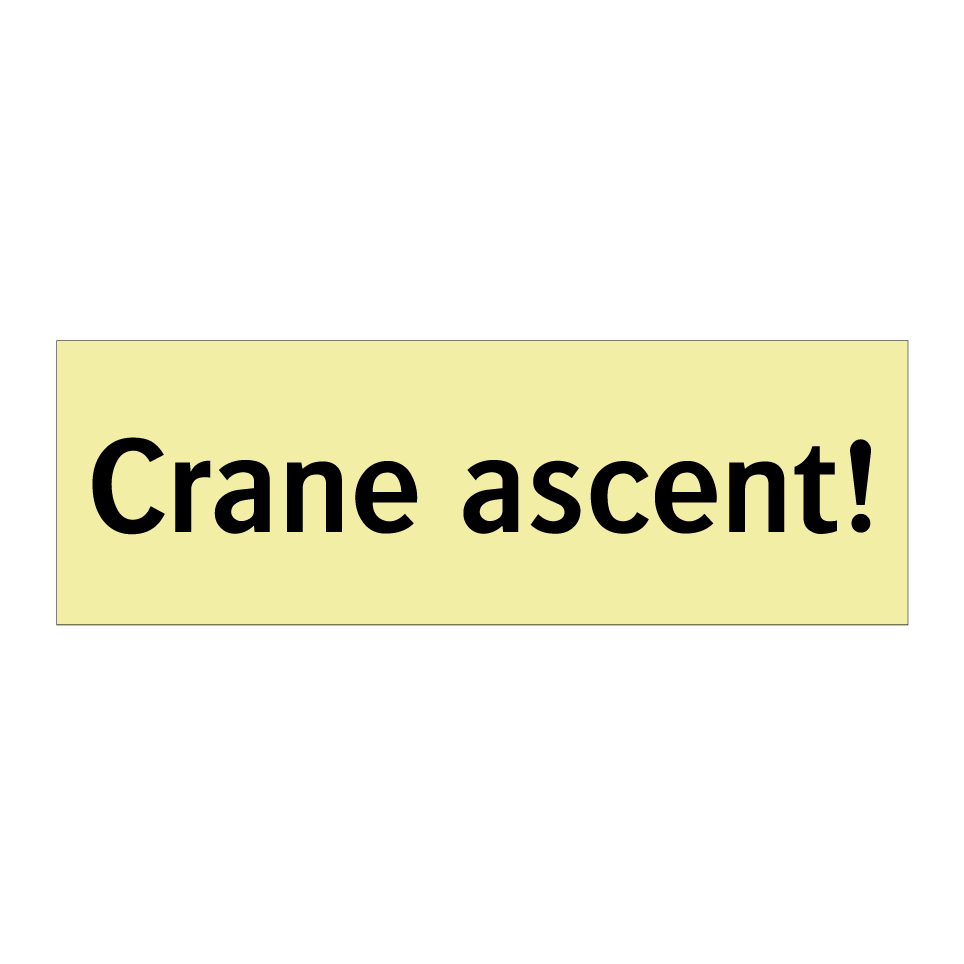 Crane ascent!