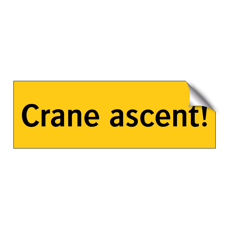 Crane ascent!