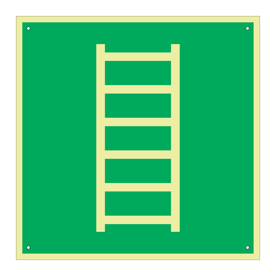 E059 Escape ladder