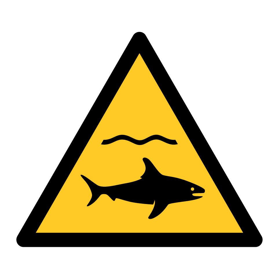W054 Warning Shark