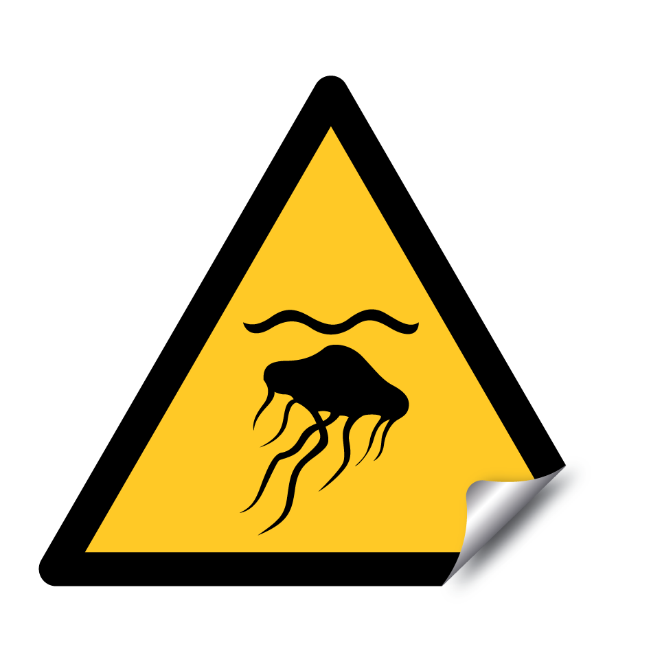 W069 Warning Jellyfish