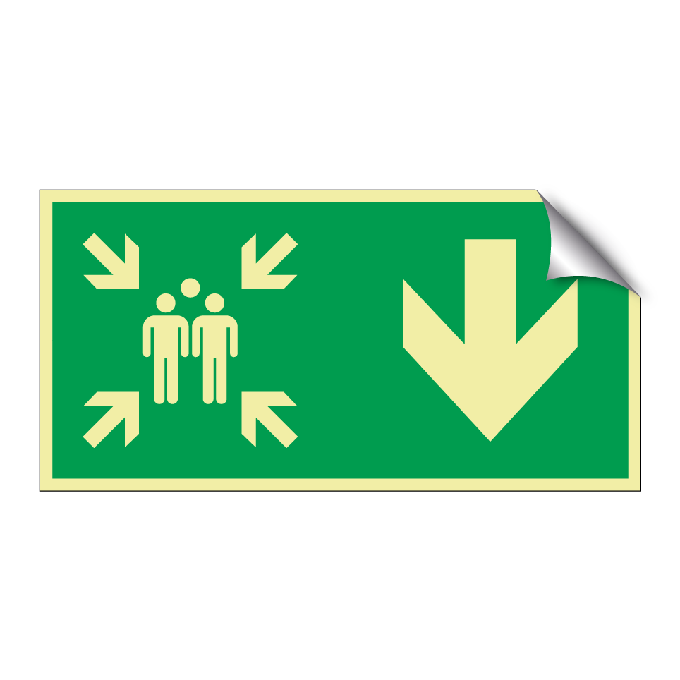 Assembly point down