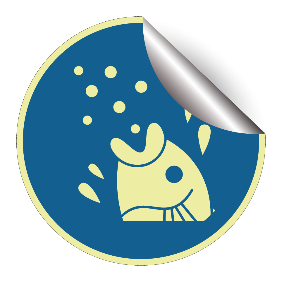 Fish feeding