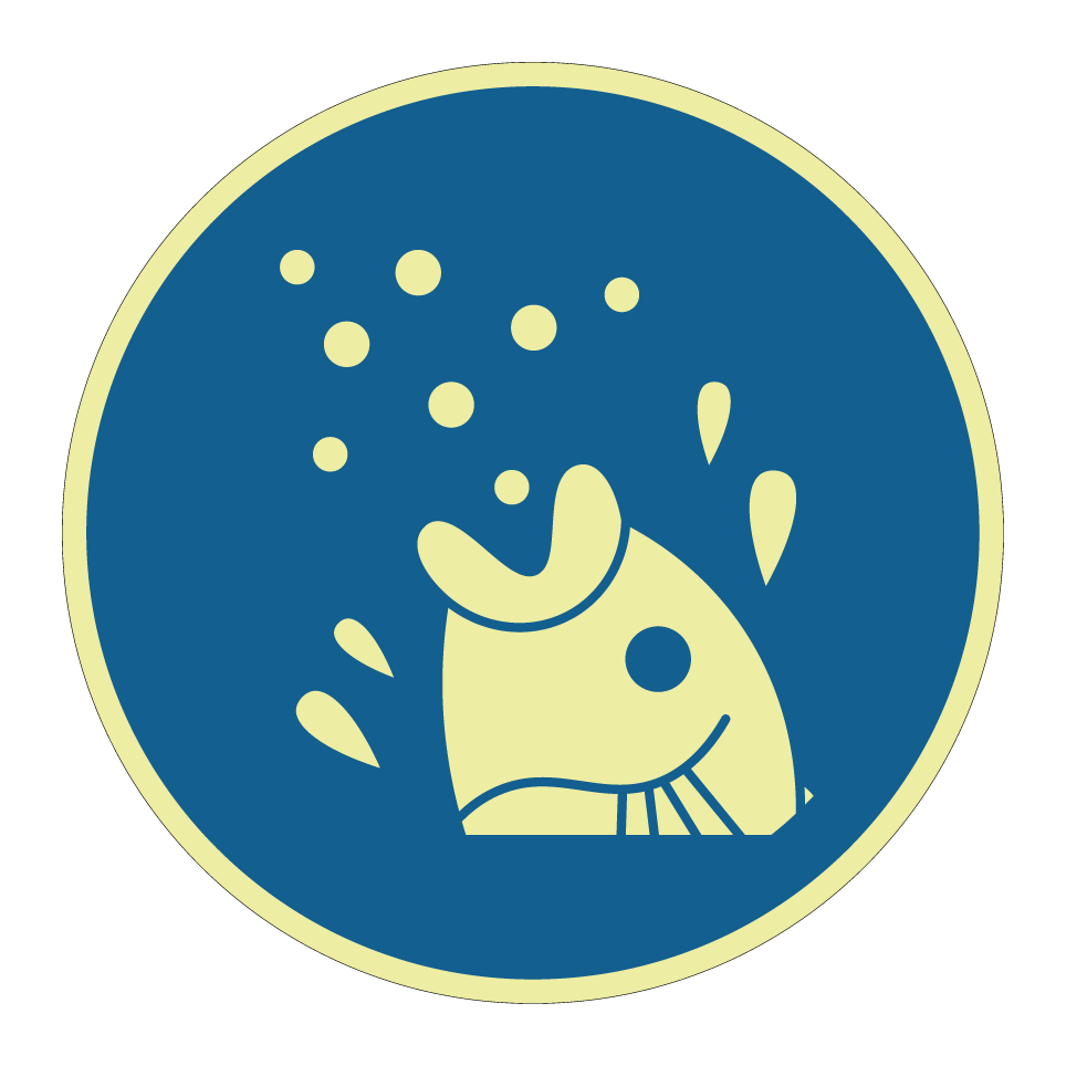 Fish feeding