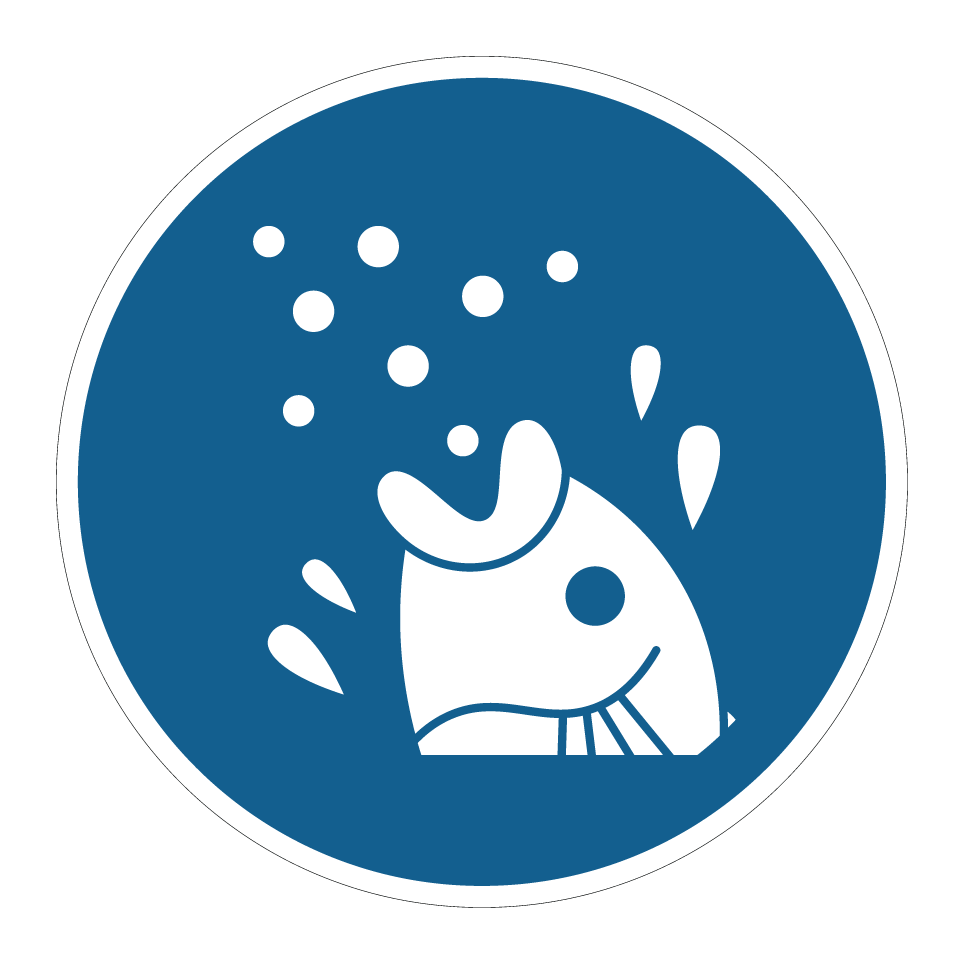 Fish feeding