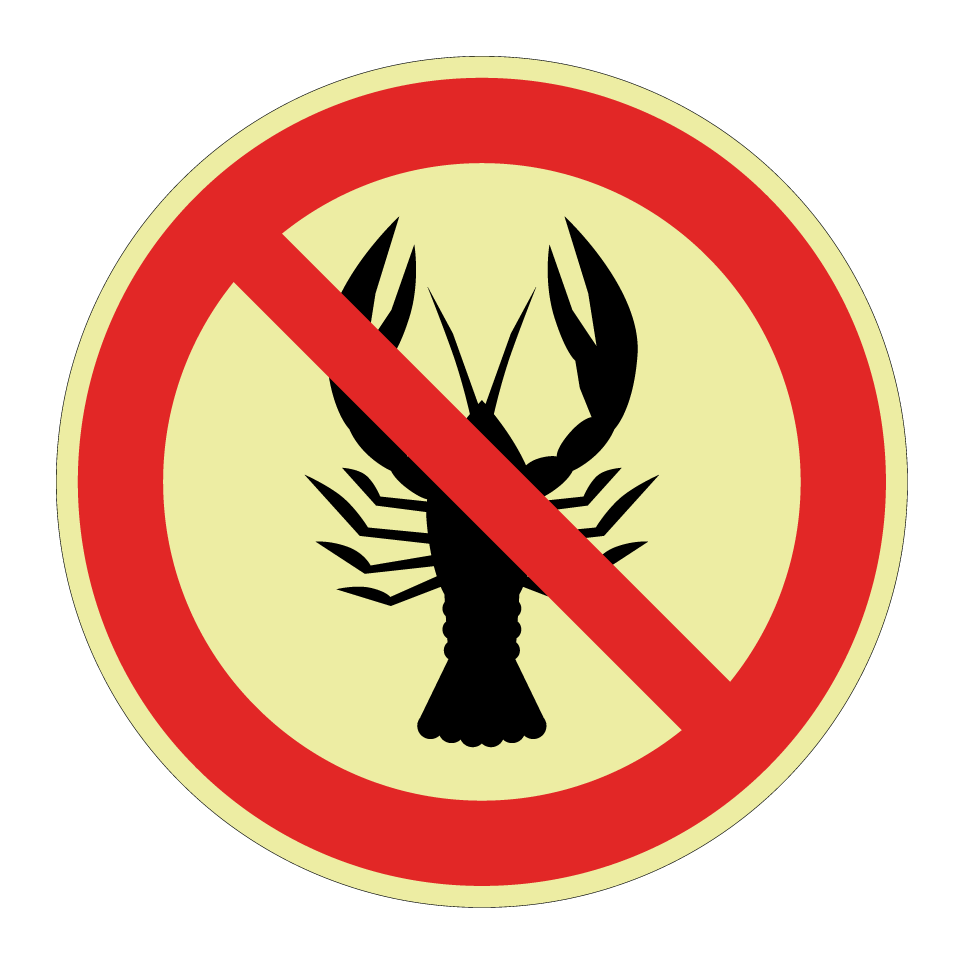 No shellfish (allergy restriction)
