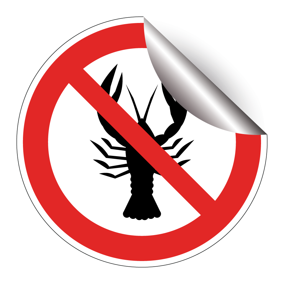 No shellfish (allergy restriction)