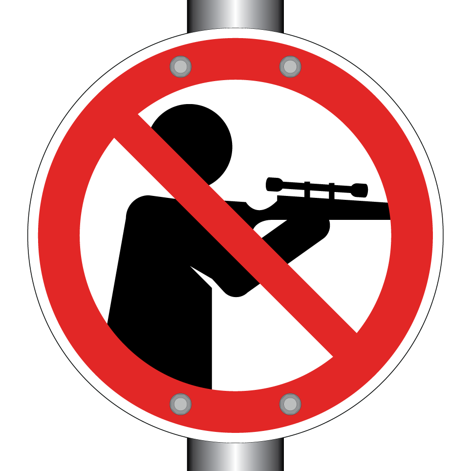 No shooting