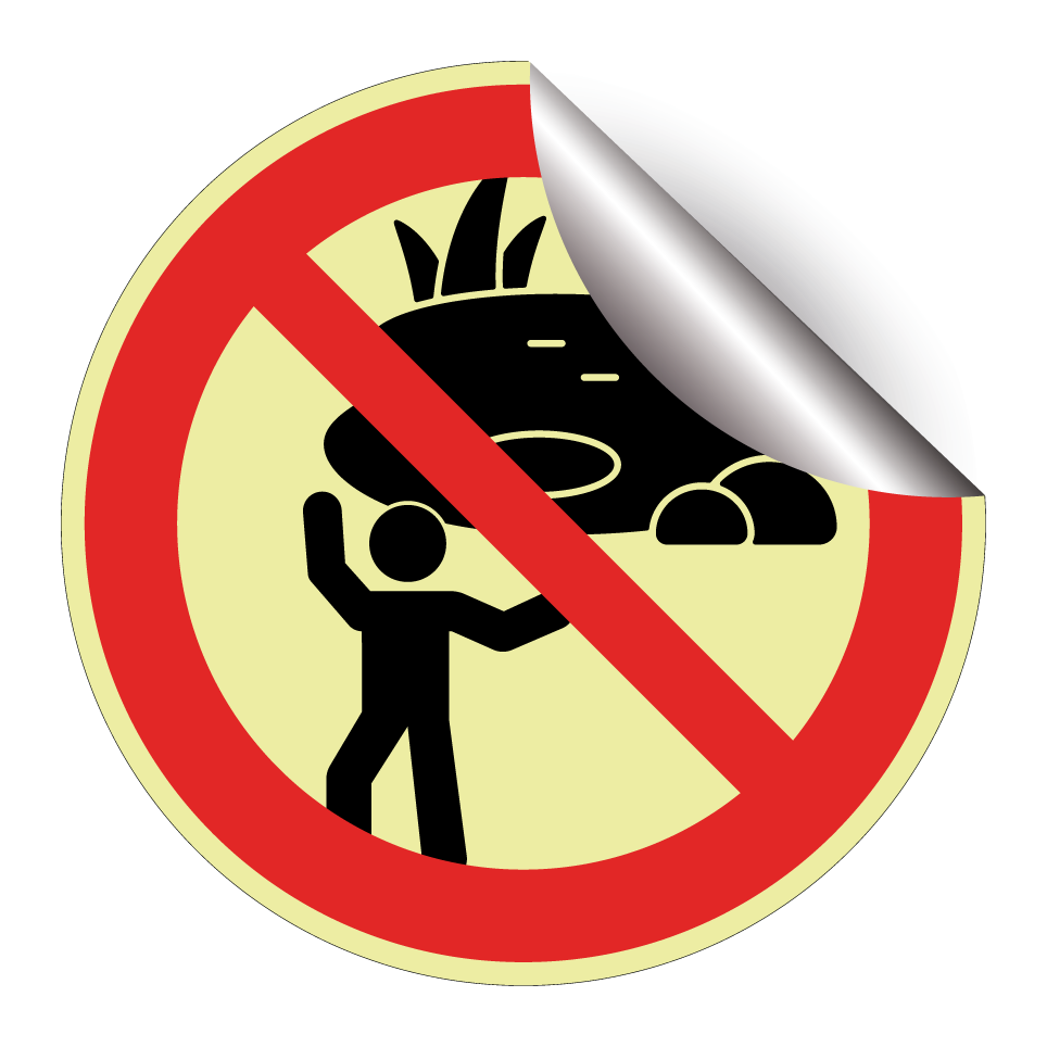 No playing near pond