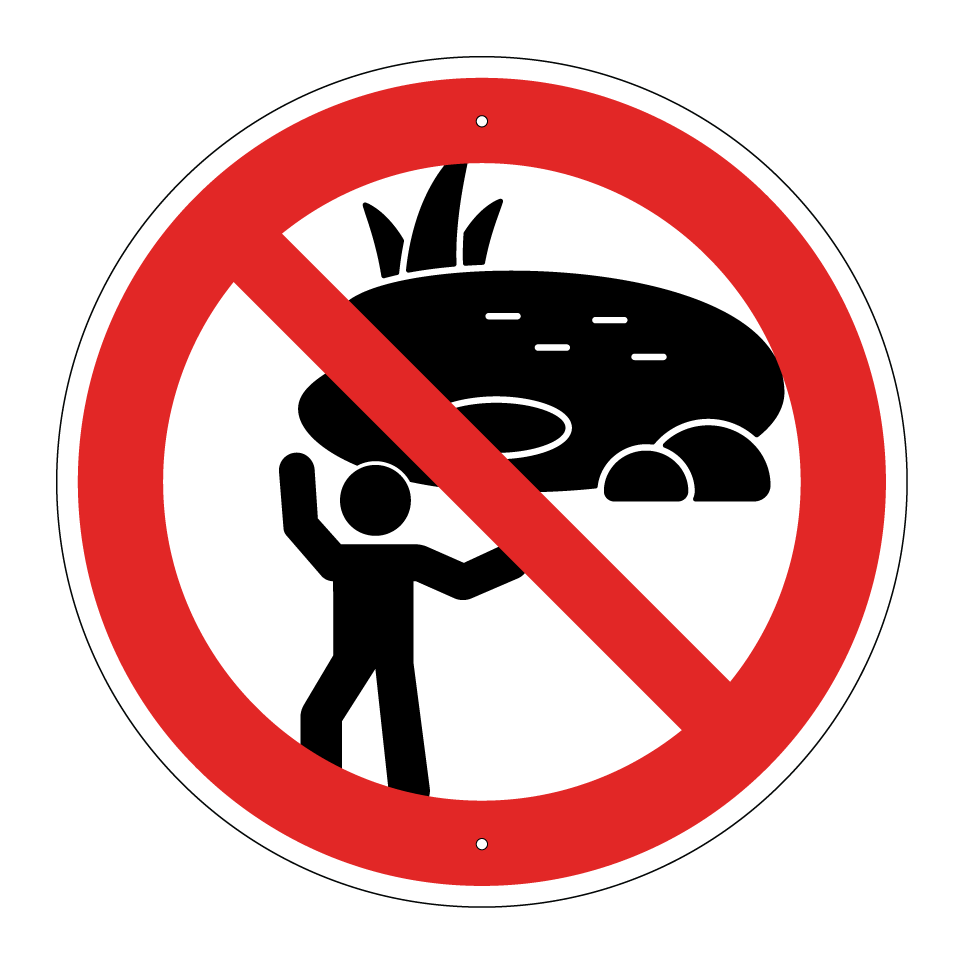 No playing near pond