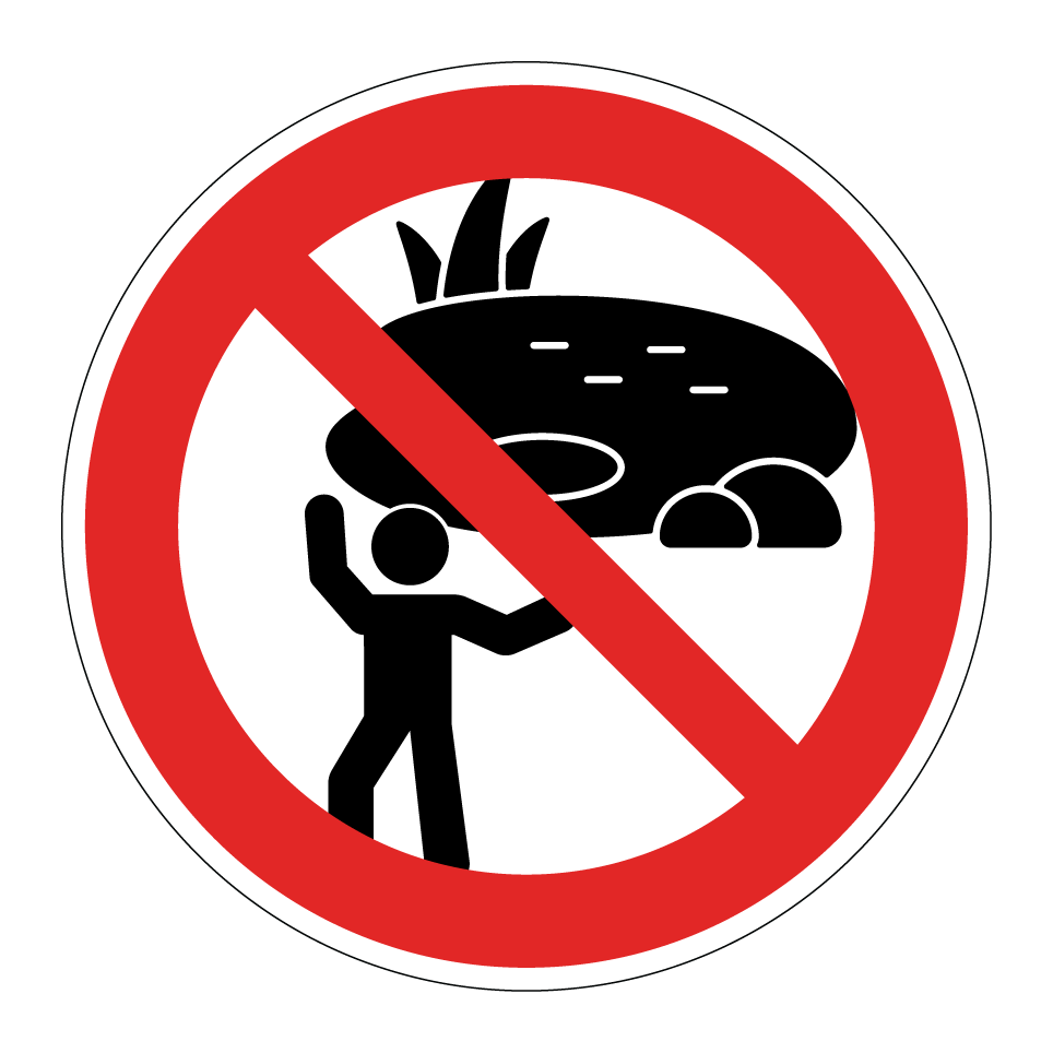 No playing near pond