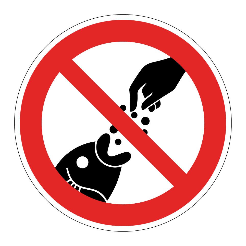 No feeding fish