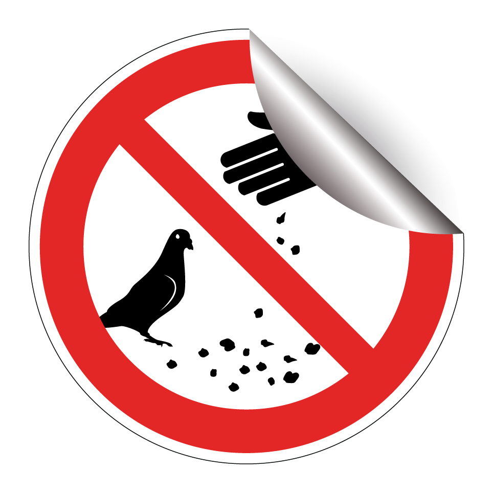 No feeding pigeons