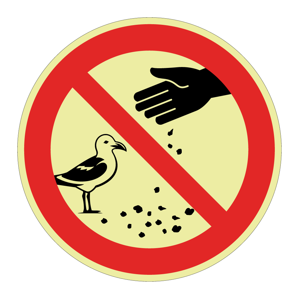 No feeding gulls